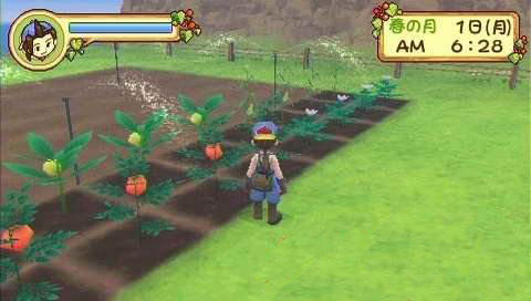 牧场物语：蜜糖村与大家的心愿截图3