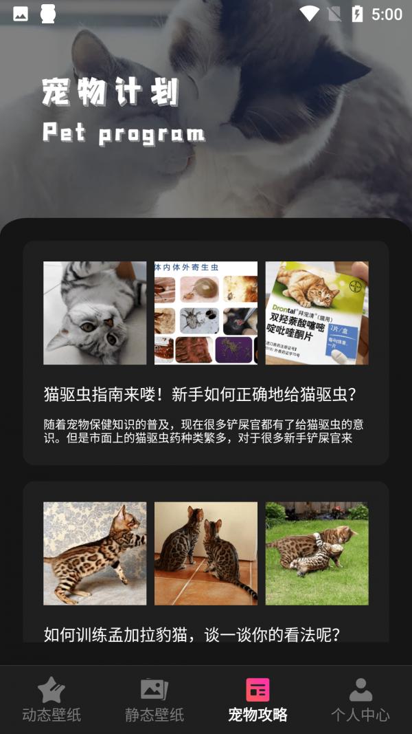 猫咪壁纸 v1.1