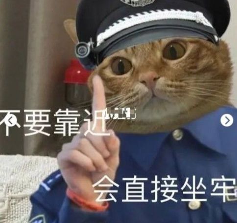 猫咪警察指人表情包.jpg 猫咪警察指人表情包.jpg