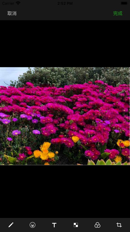 柠檬分身相机  V 1.0