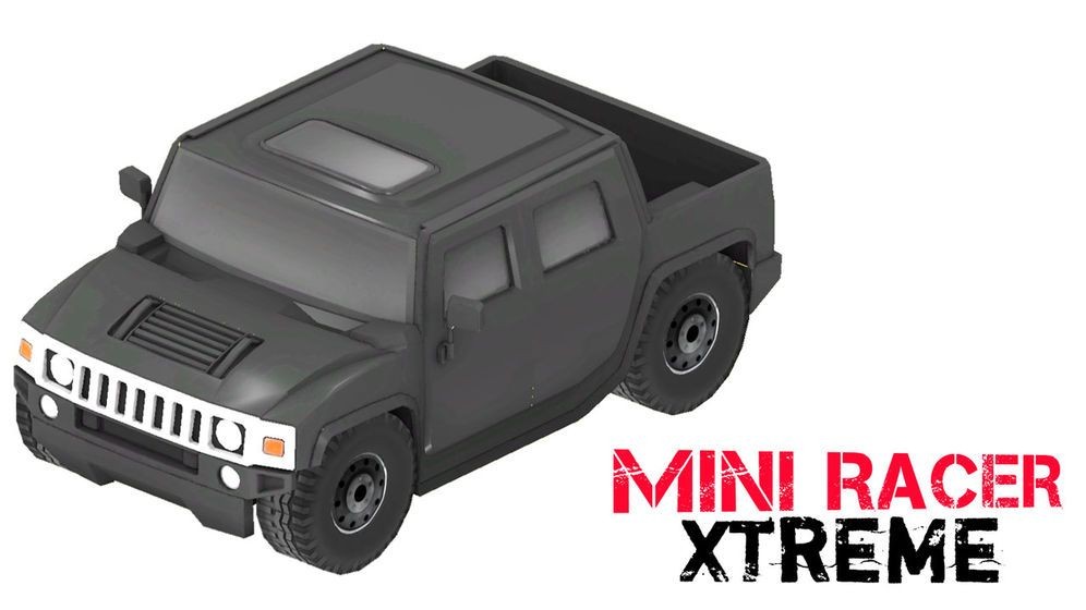 Mini Racer Xtreme 2020-03-06 11:38
