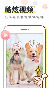 缤纷桌面壁纸 v3.1.0