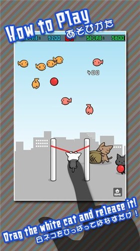 猫咪射击游戏 2024-06-25 15:08