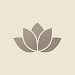 莲花移动消除Lotus