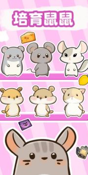 社会我猫哥 v3.0.5