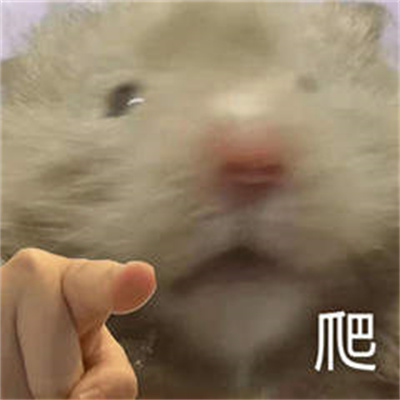 指人专用表情包.jpg 指人专用表情包.jpg