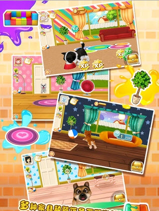 晴天小狗SunnyPuppies 2017-09-26 18:09