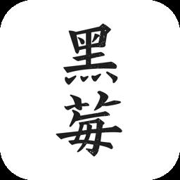 黑莓小说2023