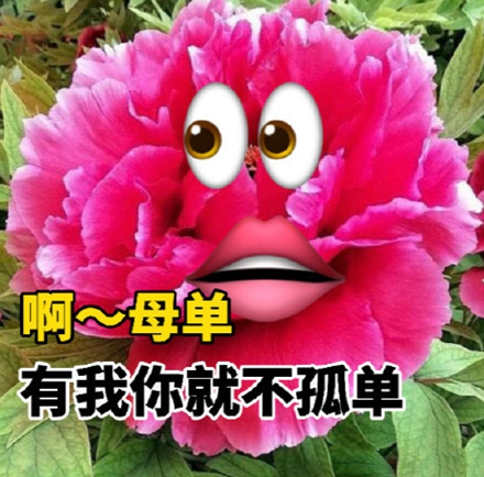 去年孤寡青蛙孤寡孤寡今年七夕牡丹表情包.jpg 去年孤寡青蛙孤寡孤寡今年七夕牡丹表情包.jpg