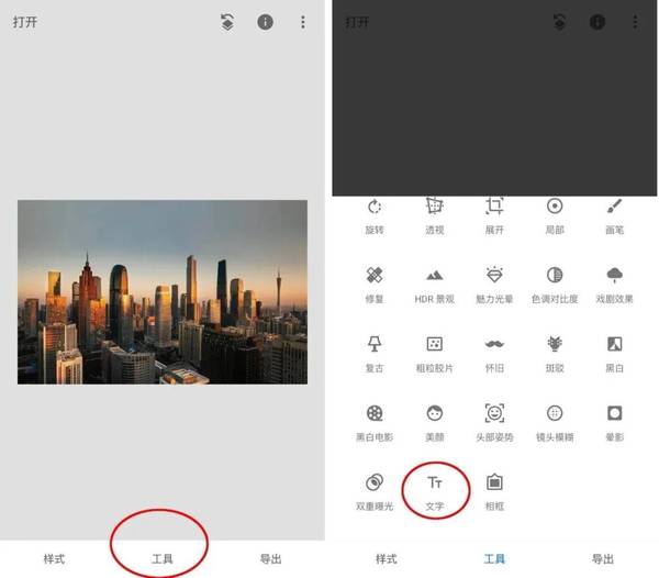 Snapseed叶子修图
