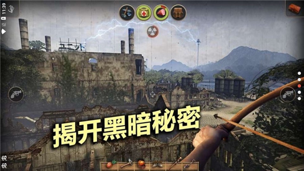辐射岛高级版