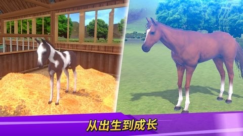 德比生活内置菜单  v1.8.82