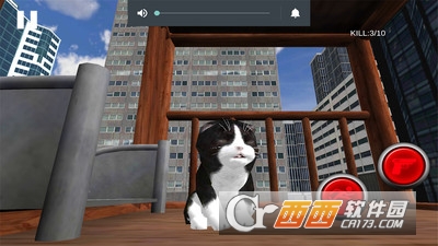 猫咪Z模拟器截图0