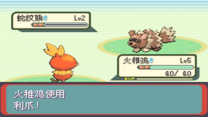 口袋妖怪夜冥泣啼金手指汉化最新版图片1