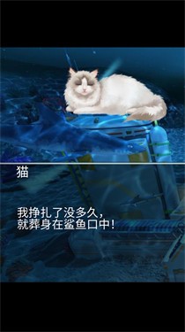 猫生煎熬  v1.00.07