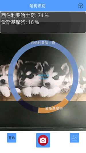 哈狗识别 版本:v1.0
