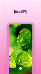 智能识花  v2.0.0
