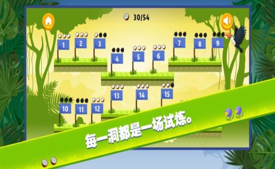 小金雨林球赛  V 1.0