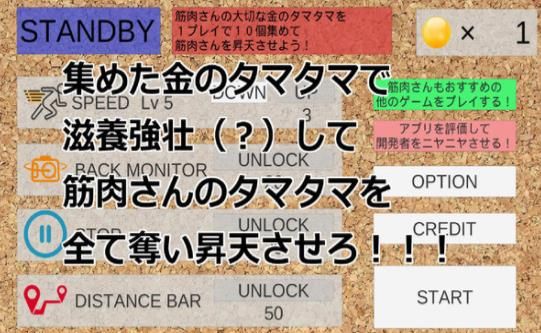 追逐肌肉的光头中文版游戏下载图片2