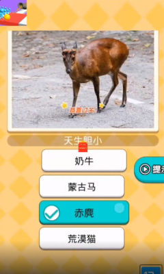 臭弟弟冲鸭游戏红包版  v5.3.1