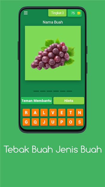 趣味琐事猜水果TebakBuahJenis Buah