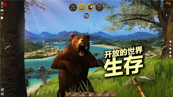 辐射岛高级版