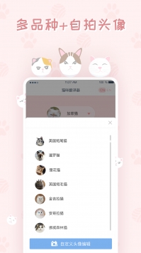 猫咪翻译器 v2.0.5