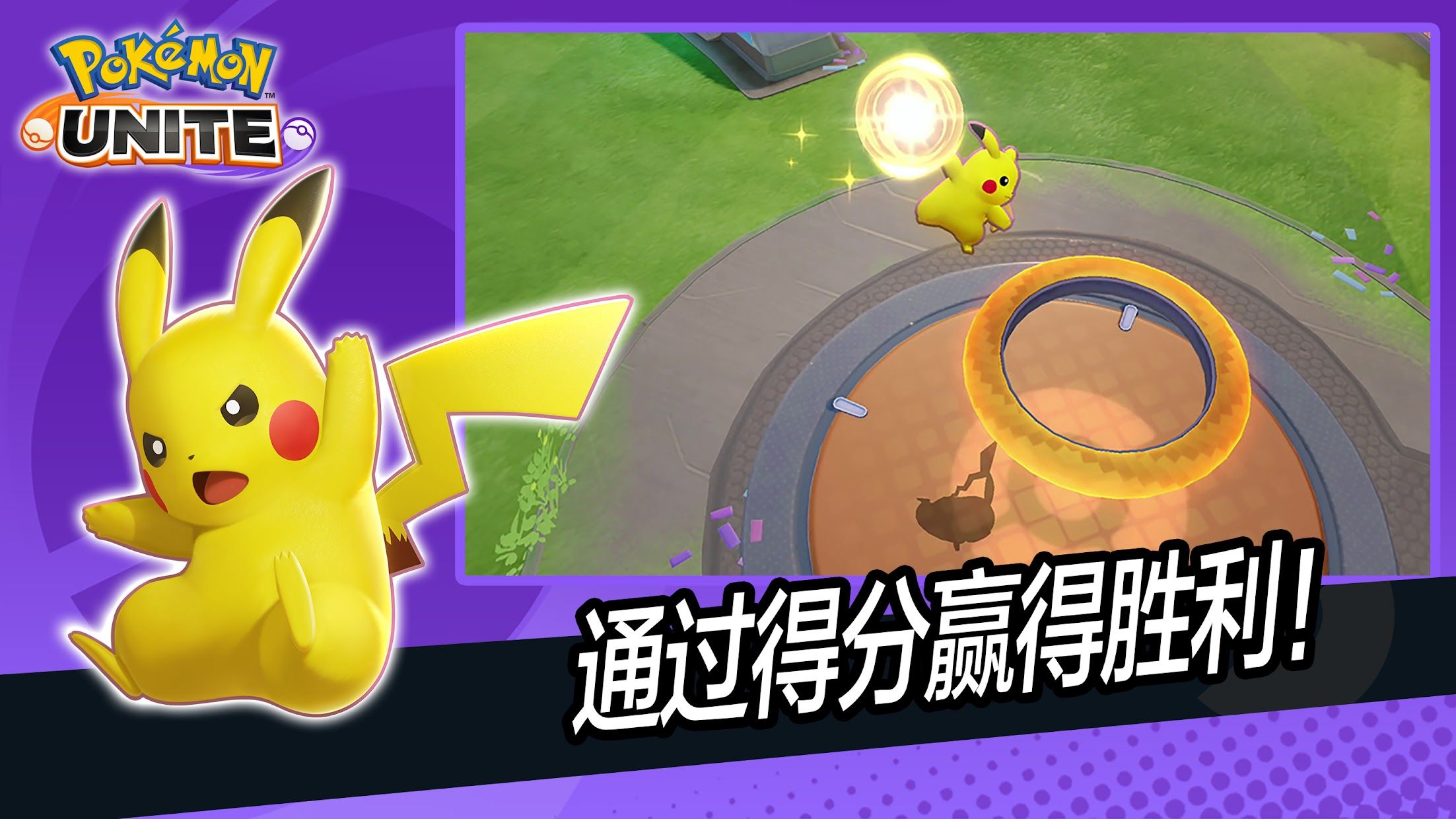 宝可梦大集结 手机端免费下载正版  v5.0.3