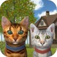 Cat Simulator Kitty Craft(猫猫模拟器2020游戏)