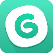 gg大玩家安卓