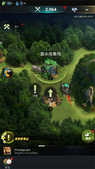 野兽领主新世界国际服