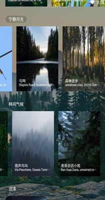 森林白噪音.png 森林白噪音.png