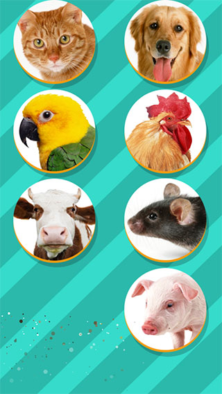 pet translator官方正版