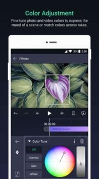 alight motion v3.0.5