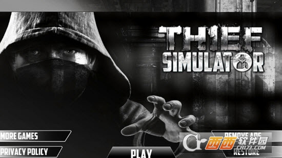 盗贼模拟器 盗贼模拟器