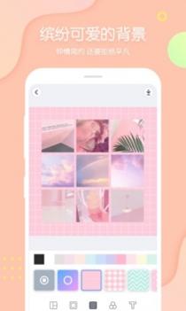 PINS v3.0.5