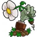 植物大战僵尸lz重制版手机版最新版
