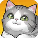 养了个猫最新版2023