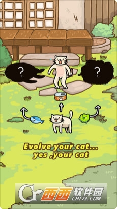 Cat Evolution World