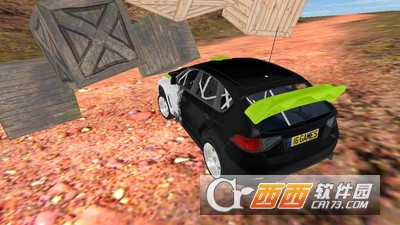 拉力赛车模拟器3D v1.0 安卓版