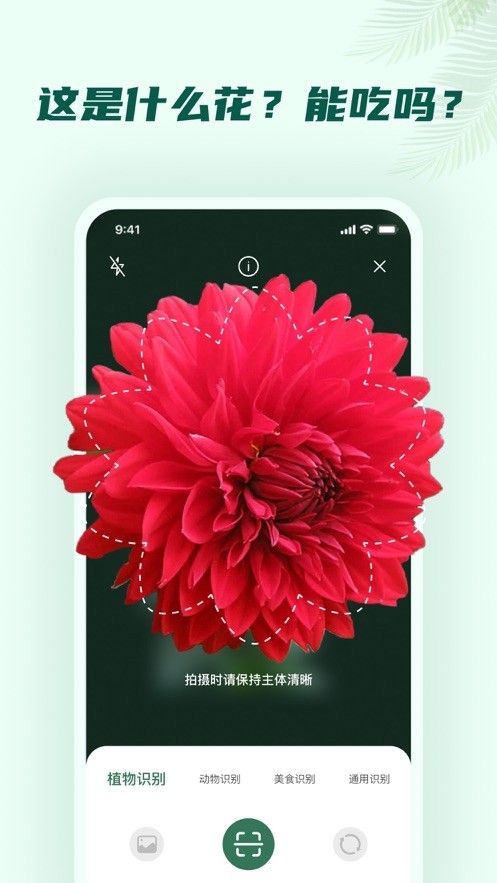 拍照君  V 1.0