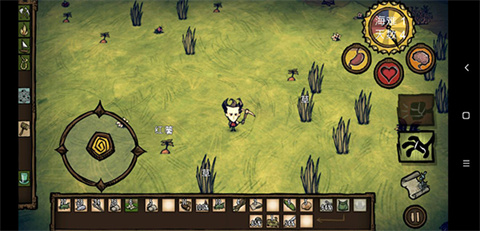 饥荒海滩安卓版