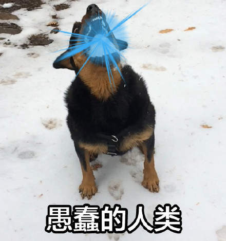 口吐芬芳表情包 v1.0