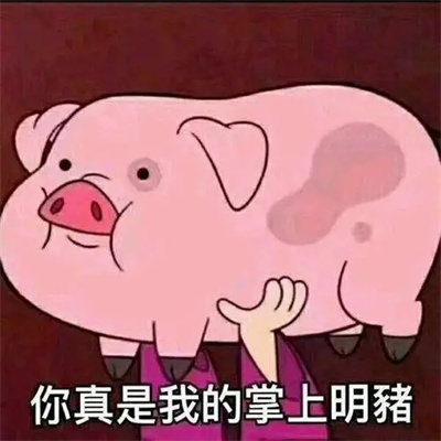勇敢猪猪不怕困难表情包.jpg
