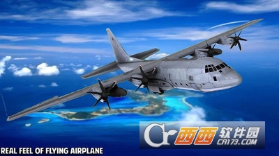 货运飞机飞行模拟器 v0.8