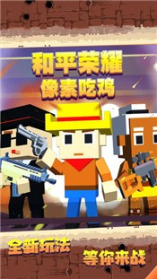 和平荣耀像素吃鸡 2024-06-25 15:08