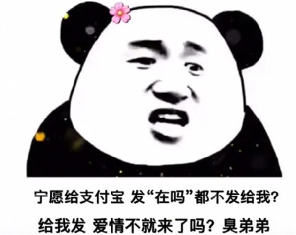 宁愿给支付宝发在吗都不给我发，给我发，爱情不就来了吗表情包 1.0