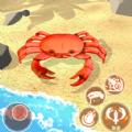 寄居蟹模拟战