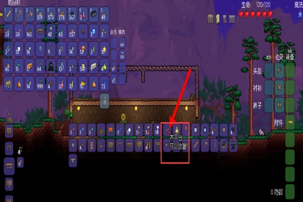 泰拉瑞亚1.4.4.9汉化版国际服