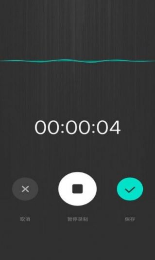 掌上录音机APP手机版图片1